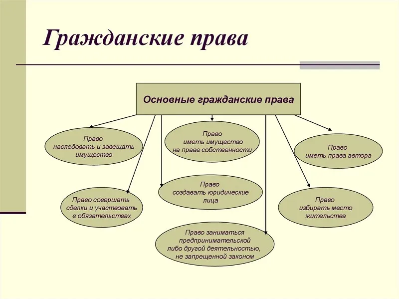 гражданский адвокат в Владимире